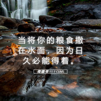 Picture 05 - 传 道 书 11:1 CUVS - 当 将 你 的 粮 食 撒 在 水 面 ， 因 - Bible Verse Picture