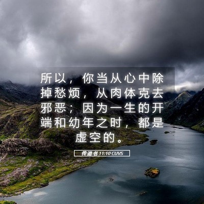 Picture 05 - 传 道 书 11:10 CUVS - 所 以 ， 你 当 从 心 中 除 掉 愁 烦 - Bible Verse Picture