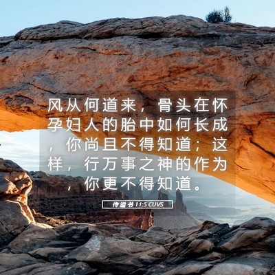 Picture 05 - 传 道 书 11:5 CUVS - 风 从 何 道 来 ， 骨 头 在 怀 孕 妇 - Bible Verse Picture