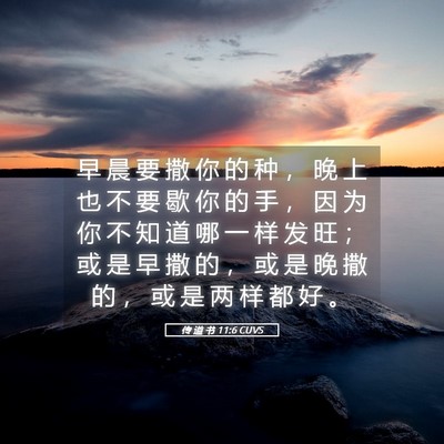 Picture 05 - 传 道 书 11:6 CUVS - 早 晨 要 撒 你 的 种 ， 晚 上 也 不 - Bible Verse Picture