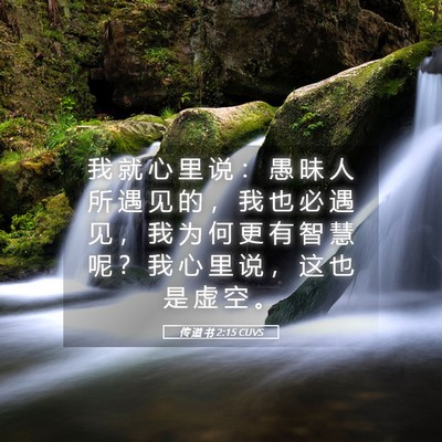 Picture 05 - 传 道 书 2:15 CUVS - 我 就 心 里 说 ： 愚 昧 人 所 遇 见 - Bible Verse Picture