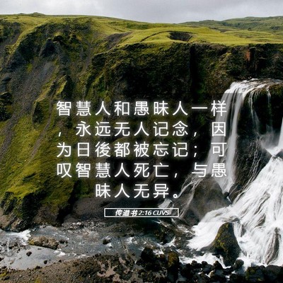 Picture 05 - 传 道 书 2:16 CUVS - 智 慧 人 和 愚 昧 人 一 样 ， 永 远 - Bible Verse Picture