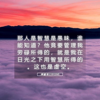 Picture 05 - 传 道 书 2:19 CUVS - 那 人 是 智 慧 是 愚 昧 ， 谁 能 知 - Bible Verse Picture
