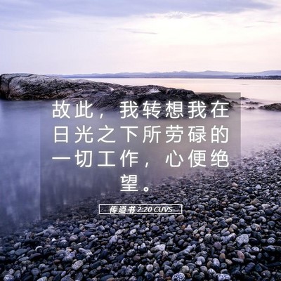 Picture 05 - 传 道 书 2:20 CUVS - 故 此 ， 我 转 想 我 在 日 光 之 下 - Bible Verse Picture