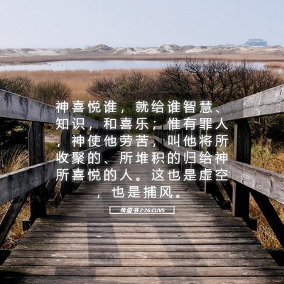 Picture 05 - 传 道 书 2:26 CUVS - 神 喜 悦 谁 ， 就 给 谁 智 慧 、 知 - Bible Verse Picture