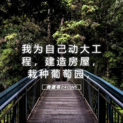 Picture 05 - 传 道 书 2:4 CUVS - 我 为 自 己 动 大 工 程 ， 建 造 房 - Bible Verse Picture