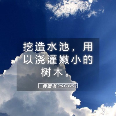 Picture 05 - 传 道 书 2:6 CUVS - 挖 造 水 池 ， 用 以 浇 灌 嫩 小 的 - Bible Verse Picture
