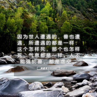 Picture 05 - 传 道 书 3:19 CUVS - 因 为 世 人 遭 遇 的 ， 兽 也 遭 遇 - Bible Verse Picture