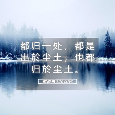 Picture 05 - 传 道 书 3:20 CUVS - 都 归 一 处 ， 都 是 出 於 尘 土 ， - Bible Verse Picture