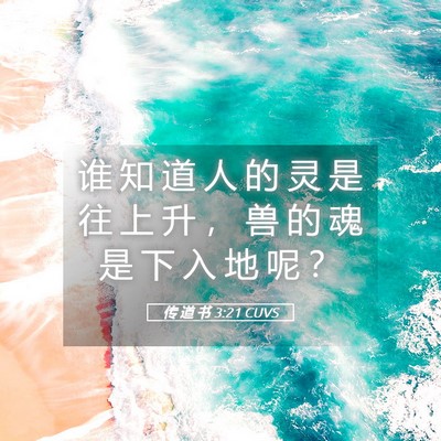 Picture 05 - 传 道 书 3:21 CUVS - 谁 知 道 人 的 灵 是 往 上 升 ， 兽 - Bible Verse Picture