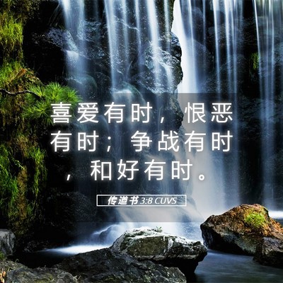 Picture 05 - 传 道 书 3:8 CUVS - 喜 爱 有 时 ， 恨 恶 有 时 ； 争 战 - Bible Verse Picture