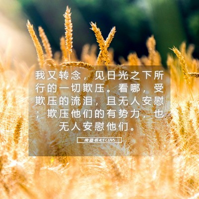 Picture 05 - 传 道 书 4:1 CUVS - 我 又 转 念 ， 见 日 光 之 下 所 行 - Bible Verse Picture