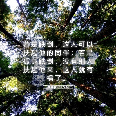 Picture 05 - 传 道 书 4:10 CUVS - 若 是 跌 倒 ， 这 人 可 以 扶 起 他 - Bible Verse Picture