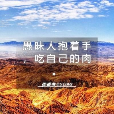 Picture 05 - 传 道 书 4:5 CUVS - 愚 昧 人 抱 着 手 ， 吃 自 己 的 肉 - Bible Verse Picture