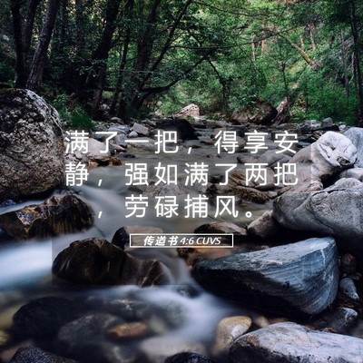 Picture 05 - 传 道 书 4:6 CUVS - 满 了 一 把 ， 得 享 安 静 ， 强 如 - Bible Verse Picture