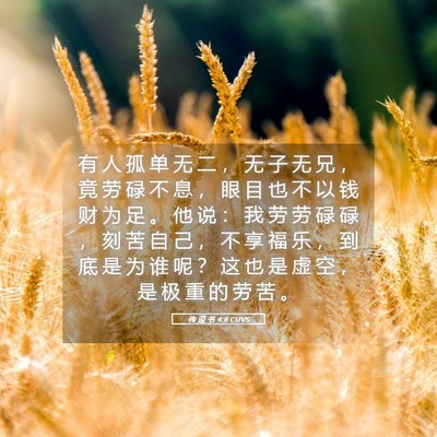 Picture 05 - 传 道 书 4:8 CUVS - 有 人 孤 单 无 二 ， 无 子 无 兄 ， - Bible Verse Picture