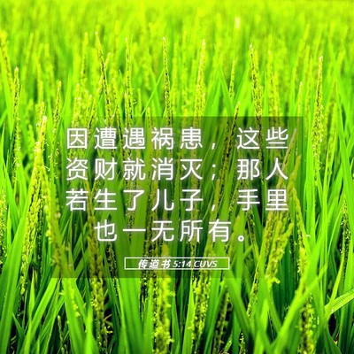Picture 05 - 传 道 书 5:14 CUVS - 因 遭 遇 祸 患 ， 这 些 资 财 就 消 - Bible Verse Picture