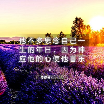Picture 05 - 传 道 书 5:20 CUVS - 他 不 多 思 念 自 己 一 生 的 年 日 - Bible Verse Picture