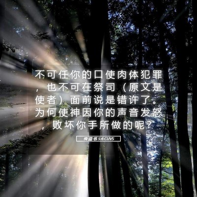 Picture 05 - 传 道 书 5:6 CUVS - 不 可 任 你 的 口 使 肉 体 犯 罪 ， - Bible Verse Picture