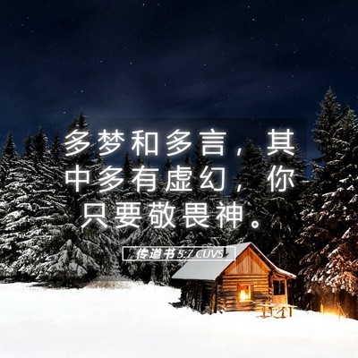 Picture 05 - 传 道 书 5:7 CUVS - 多 梦 和 多 言 ， 其 中 多 有 虚 幻 - Bible Verse Picture