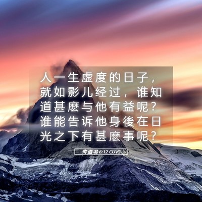 Picture 05 - 传 道 书 6:12 CUVS - 人 一 生 虚 度 的 日 子 ， 就 如 影 - Bible Verse Picture