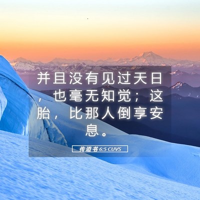 Picture 05 - 传 道 书 6:5 CUVS - 并 且 没 有 见 过 天 日 ， 也 毫 无 - Bible Verse Picture
