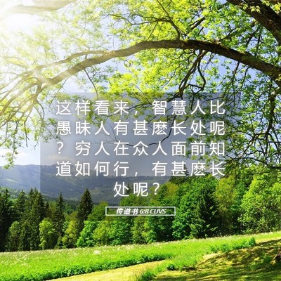 Picture 05 - 传 道 书 6:8 CUVS - 这 样 看 来 ， 智 慧 人 比 愚 昧 人 - Bible Verse Picture