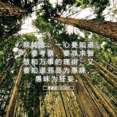 Picture 05 - 传 道 书 7:25 CUVS - 我 转 念 ， 一 心 要 知 道 ， 要 考 - Bible Verse Picture