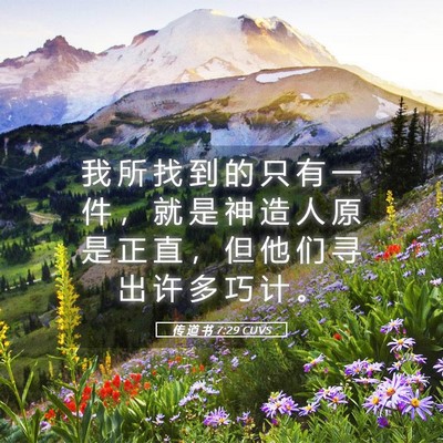 Picture 05 - 传 道 书 7:29 CUVS - 我 所 找 到 的 只 有 一 件 ， 就 是 - Bible Verse Picture