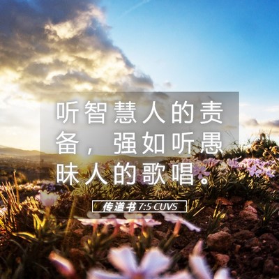 Picture 05 - 传 道 书 7:5 CUVS - 听 智 慧 人 的 责 备 ， 强 如 听 愚 - Bible Verse Picture
