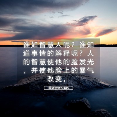 Picture 05 - 传 道 书 8:1 CUVS - 谁 如 智 慧 人 呢 ？ 谁 知 道 事 情 - Bible Verse Picture