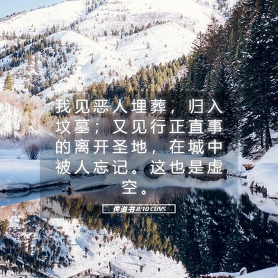Picture 05 - 传 道 书 8:10 CUVS - 我 见 恶 人 埋 葬 ， 归 入 坟 墓 ； - Bible Verse Picture