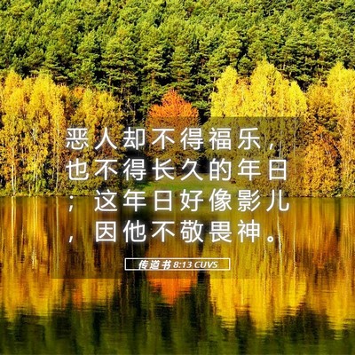 Picture 05 - 传 道 书 8:13 CUVS - 恶 人 却 不 得 福 乐 ， 也 不 得 长 - Bible Verse Picture