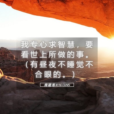 Picture 05 - 传 道 书 8:16 CUVS - 我 专 心 求 智 慧 ， 要 看 世 上 所 - Bible Verse Picture