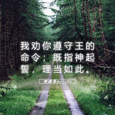 Picture 05 - 传 道 书 8:2 CUVS - 我 劝 你 遵 守 王 的 命 令 ； 既 指 - Bible Verse Picture