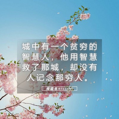 Picture 05 - 传 道 书 9:15 CUVS - 城 中 有 一 个 贫 穷 的 智 慧 人 ， - Bible Verse Picture