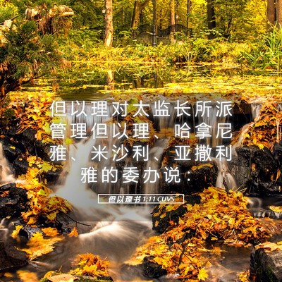 Picture 05 - 但 以 理 书 1:11 CUVS - 但 以 理 对 太 监 长 所 派 管 理 但 - Bible Verse Picture