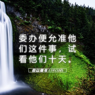 Picture 05 - 但 以 理 书 1:14 CUVS - 委 办 便 允 准 他 们 这 件 事 ， 试 - Bible Verse Picture