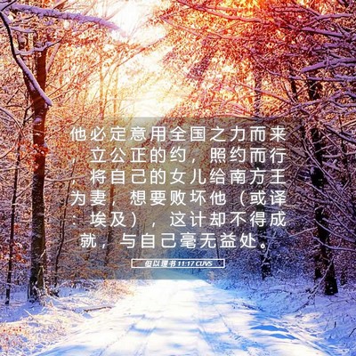 Picture 05 - 但 以 理 书 11:17 CUVS - 他 必 定 意 用 全 国 之 力 而 来 ， - Bible Verse Picture