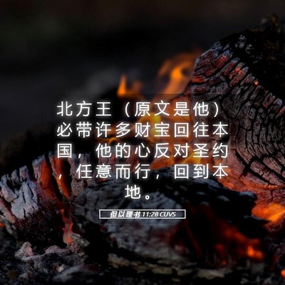 Picture 05 - 但 以 理 书 11:28 CUVS - 北 方 王 （ 原 文 是 他 ） 必 带 许 - Bible Verse Picture