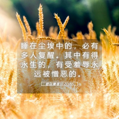 Picture 05 - 但 以 理 书 12:2 CUVS - 睡 在 尘 埃 中 的 ， 必 有 多 人 复 - Bible Verse Picture