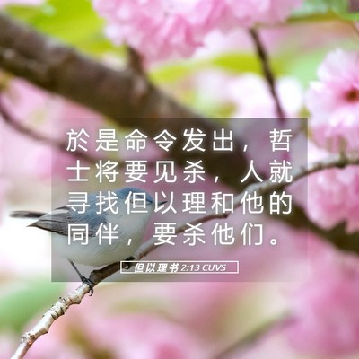 Picture 05 - 但 以 理 书 2:13 CUVS - 於 是 命 令 发 出 ， 哲 士 将 要 见 - Bible Verse Picture