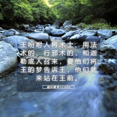 Picture 05 - 但 以 理 书 2:2 CUVS - 王 吩 咐 人 将 术 士 、 用 法 术 的 - Bible Verse Picture