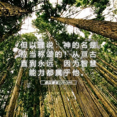 Picture 05 - 但 以 理 书 2:20 CUVS - 但 以 理 说 ： 神 的 名 是 应 当 称 - Bible Verse Picture