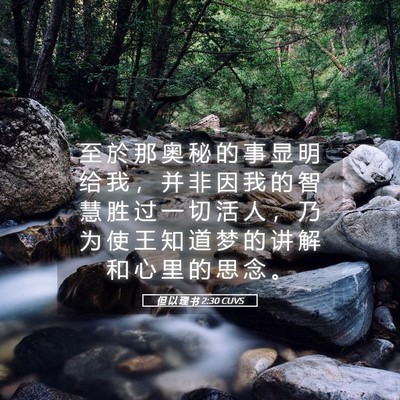 Picture 05 - 但 以 理 书 2:30 CUVS - 至 於 那 奥 秘 的 事 显 明 给 我 ， - Bible Verse Picture