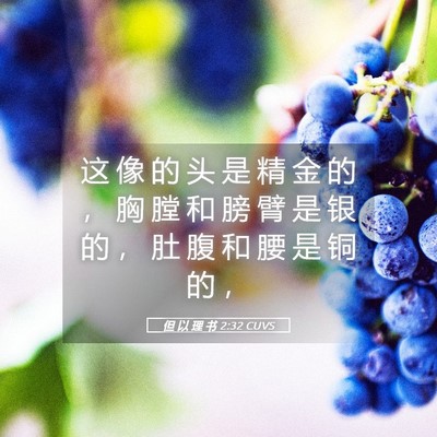 Picture 05 - 但 以 理 书 2:32 CUVS - 这 像 的 头 是 精 金 的 ， 胸 膛 和 - Bible Verse Picture