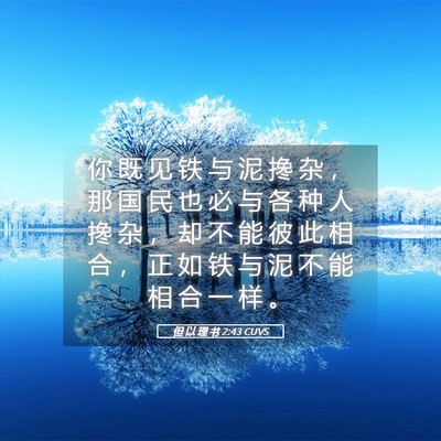 Picture 05 - 但 以 理 书 2:43 CUVS - 你 既 见 铁 与 泥 搀 杂 ， 那 国 民 - Bible Verse Picture