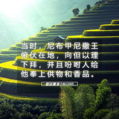 Picture 05 - 但 以 理 书 2:46 CUVS - 当 时 ， 尼 布 甲 尼 撒 王 俯 伏 在 - Bible Verse Picture