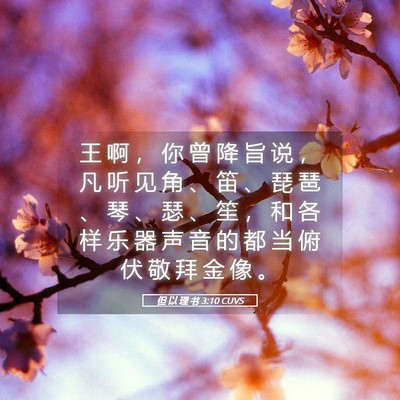 Picture 05 - 但 以 理 书 3:10 CUVS - 王 啊 ， 你 曾 降 旨 说 ， 凡 听 见 - Bible Verse Picture