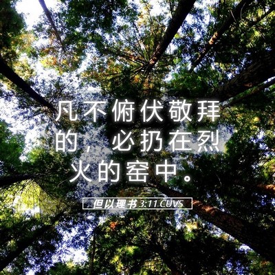 Picture 05 - 但 以 理 书 3:11 CUVS - 凡 不 俯 伏 敬 拜 的 ， 必 扔 在 烈 - Bible Verse Picture
